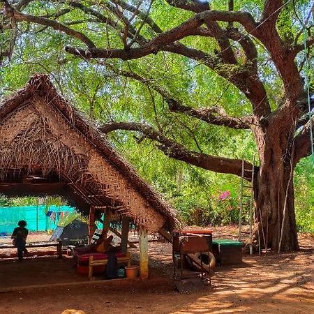 Travellers Tribe By Livelehood Habitat Hostel Auroville Ngoại thất bức ảnh