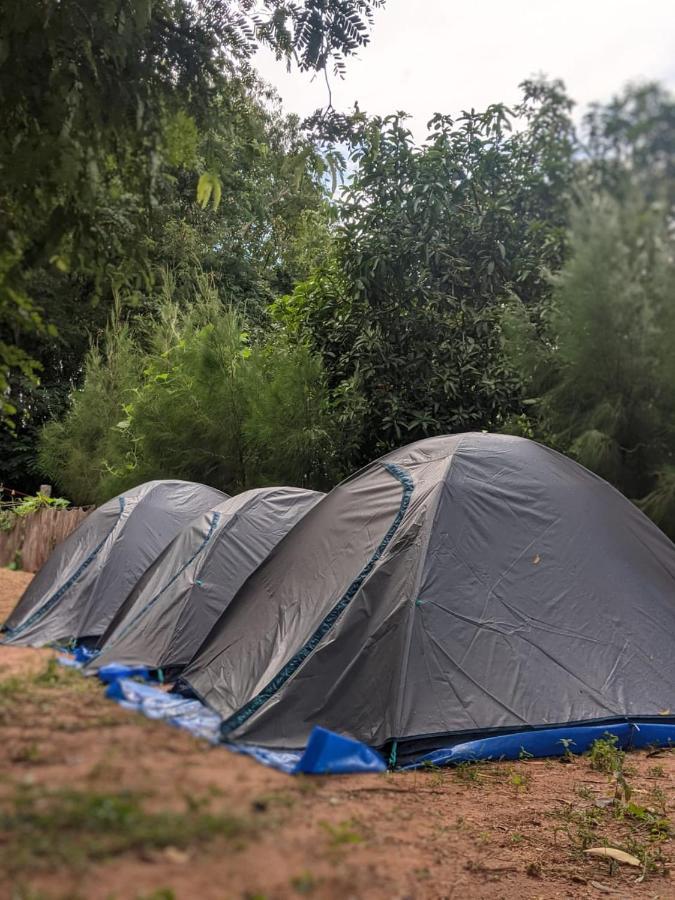 Travellers Tribe By Livelehood Habitat Hostel Auroville Ngoại thất bức ảnh