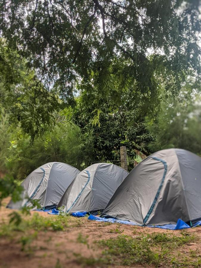 Travellers Tribe By Livelehood Habitat Hostel Auroville Ngoại thất bức ảnh