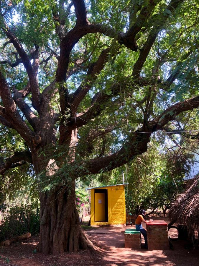 Travellers Tribe By Livelehood Habitat Hostel Auroville Ngoại thất bức ảnh