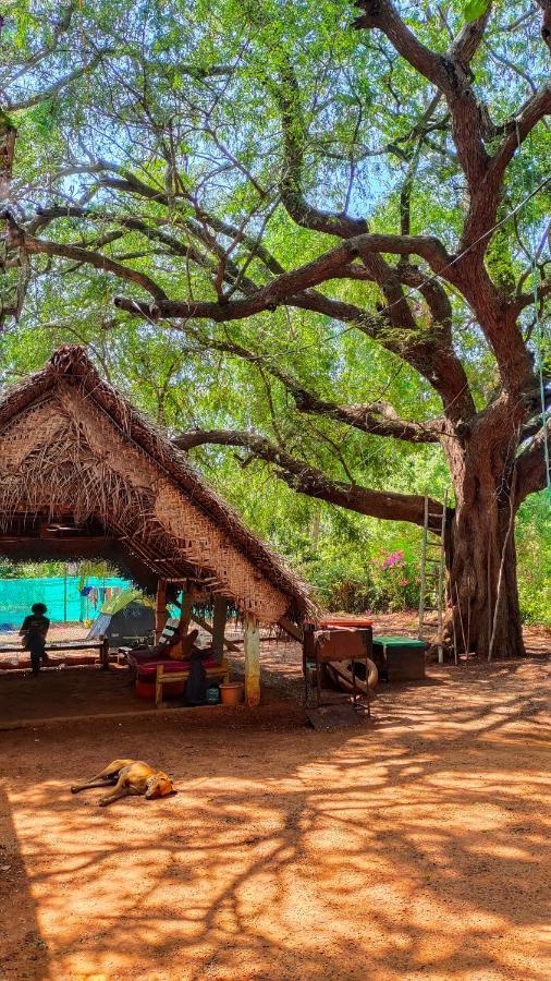 Travellers Tribe By Livelehood Habitat Hostel Auroville Ngoại thất bức ảnh